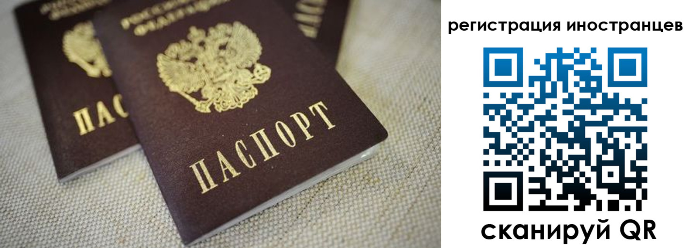временная регистрация законно в Александрове